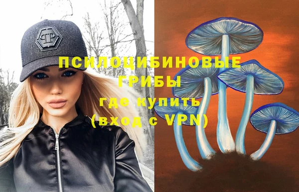 ПСИЛОЦИБИНОВЫЕ ГРИБЫ Надым