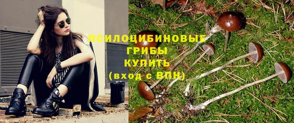 ешки Навашино