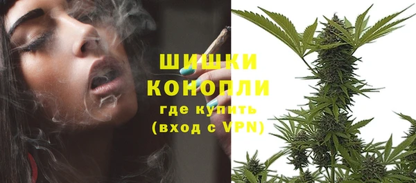 ПСИЛОЦИБИНОВЫЕ ГРИБЫ Надым