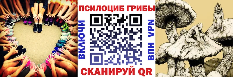 мориарти официальный сайт  Нелидово  Псилоцибиновые грибы мухоморы  цены  